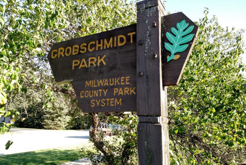 Sycamore - Grobschmidt Park w