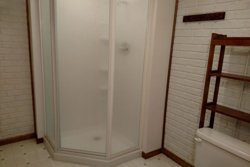 3519 Forest Hill - lower shower