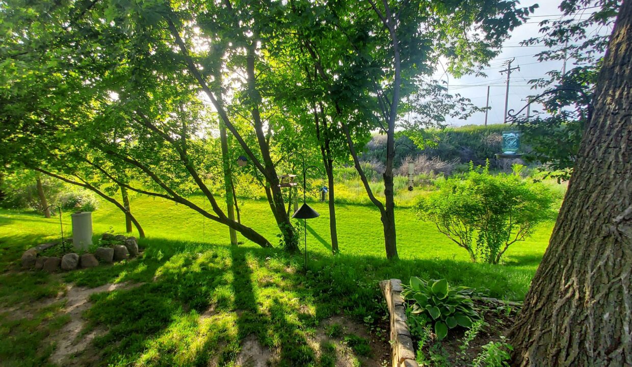 Hidden 44 - Backyard View