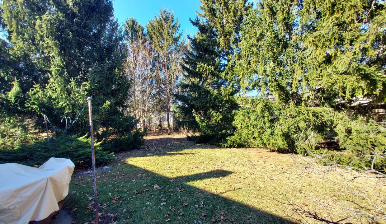 7808 Plainsview - back yard