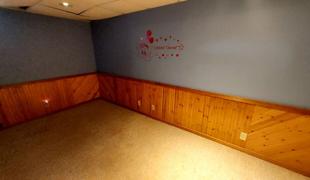 619 Division St - BR3 - Basement