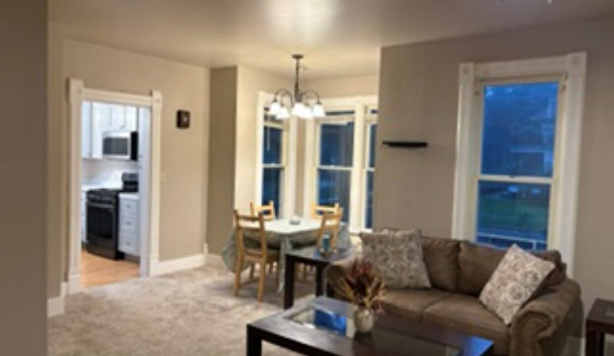 619 Division St - Lower LR-DR1