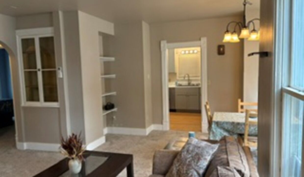 619 Division St - Lower LR1
